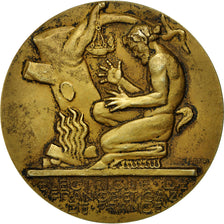 Frankreich, Medaille, Électricité de France et gaz de France, Dropsy, VZ
