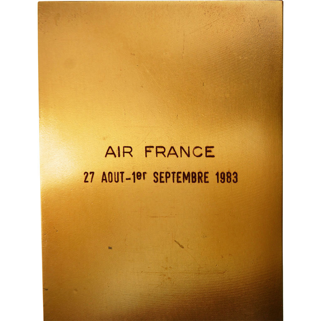 France, Médaille, Aviation, Air France, 1983, SPL, Bronze