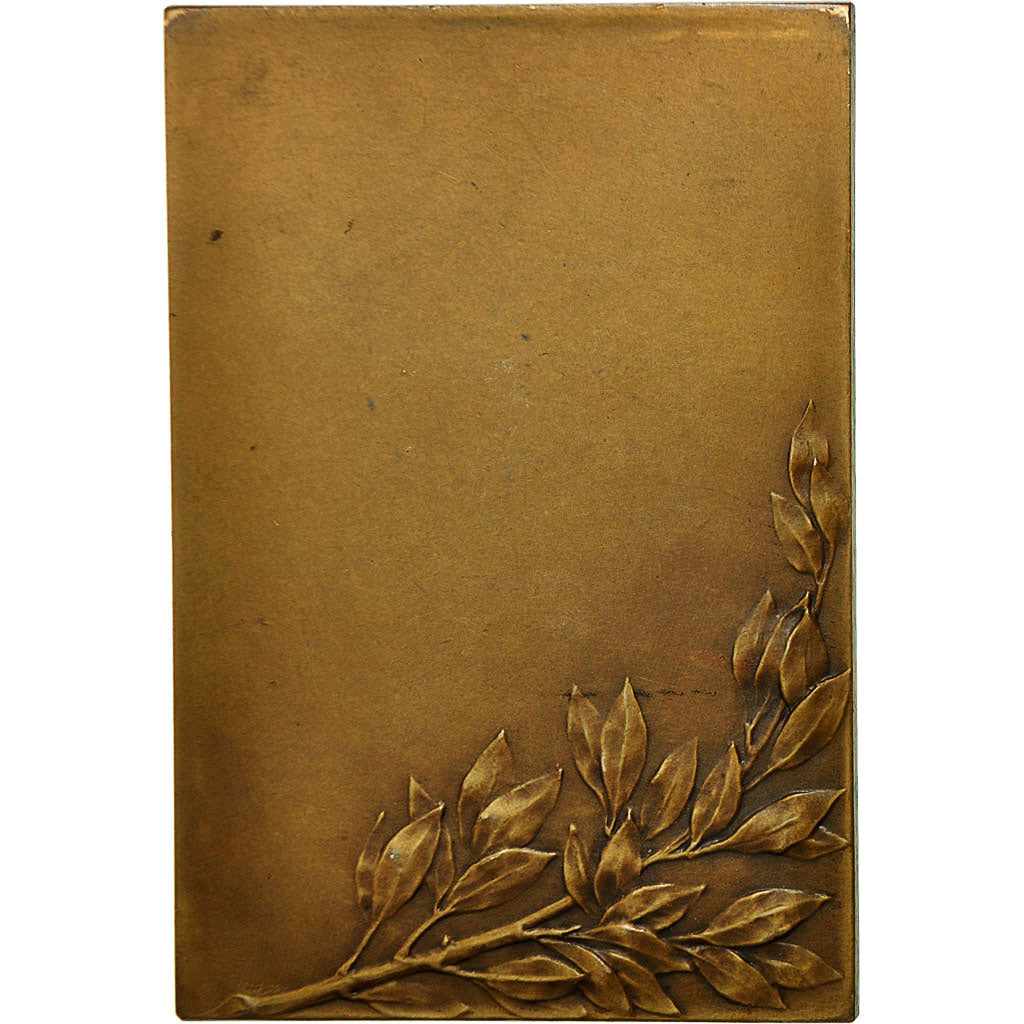 Frankreich, Medaille, Art Nouveau, République Française, Vernier, VZ, Bronze