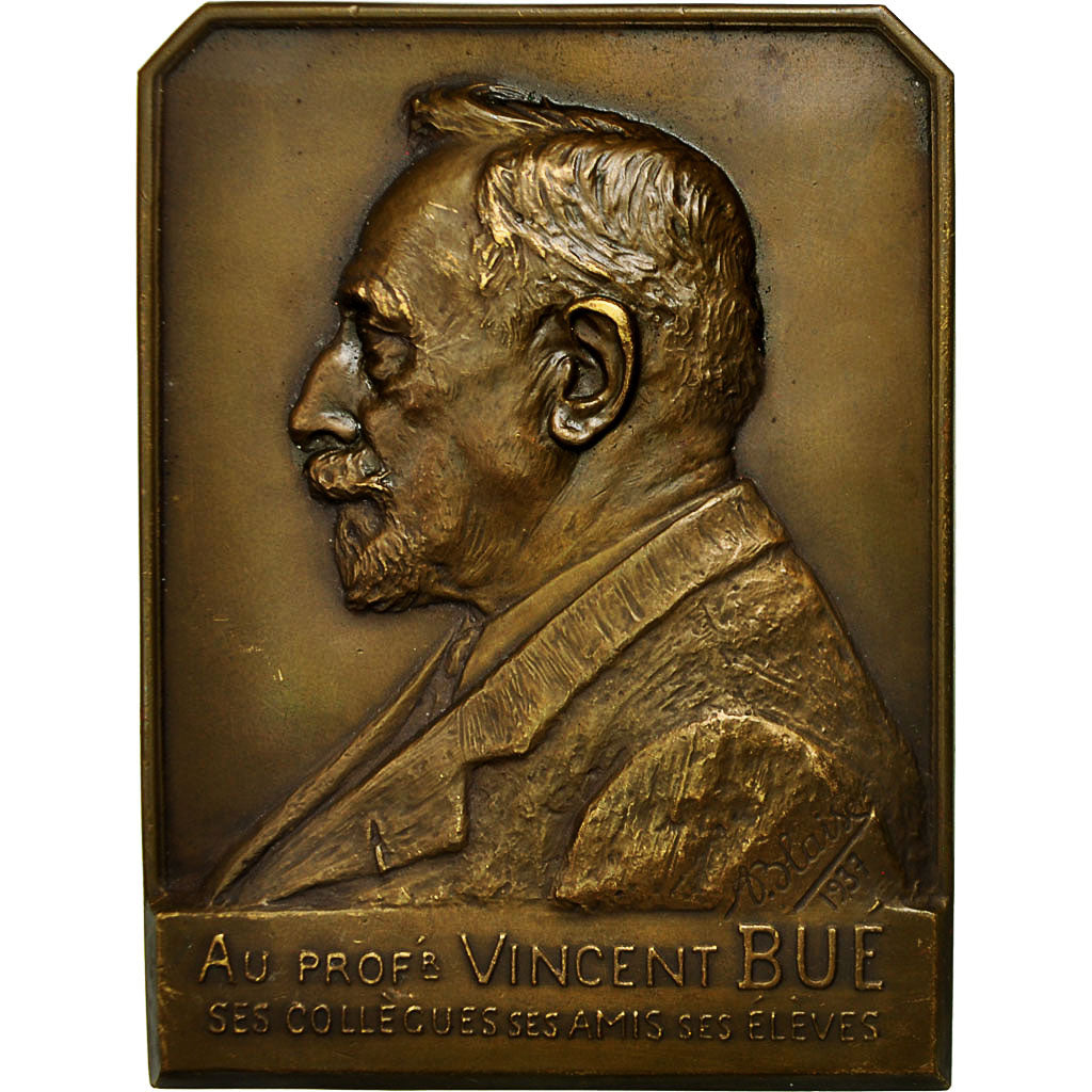 Frankreich, Medaille, Médecine, Professeur Vincent Bué, 1937, Blaise, VZ