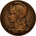 Frankrijk, Medaille, Cour d'Assises, Jury du Nord, 1910, Hercule, ZF+, Bronze