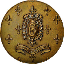 France, Médaille, Militaire, 6ème Régiment de Dragons, 1973, TTB+, Bronze
