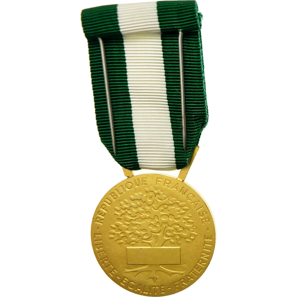Francja, Médaille d'honneur communale, régionale et départementale, Medal