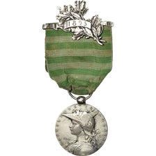 Francia, medaglia, 1895, Eccellente qualità, Roty, Argento, 30