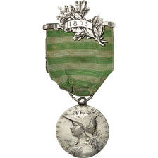 France, Medal, 1895, Excellent Quality, Roty, Silver, 30