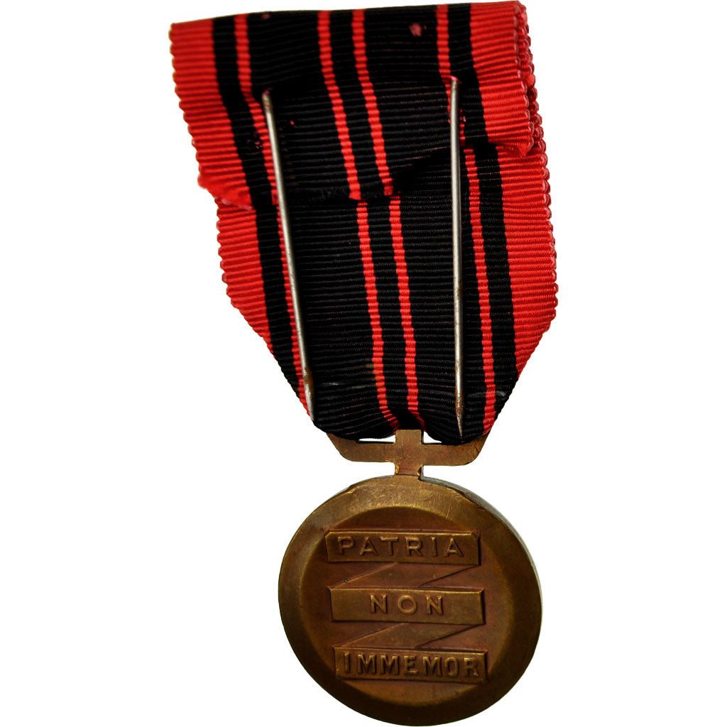 Francia, Résistance, Patria Non Immemor, medaglia, 1940, Fuori circolazione
