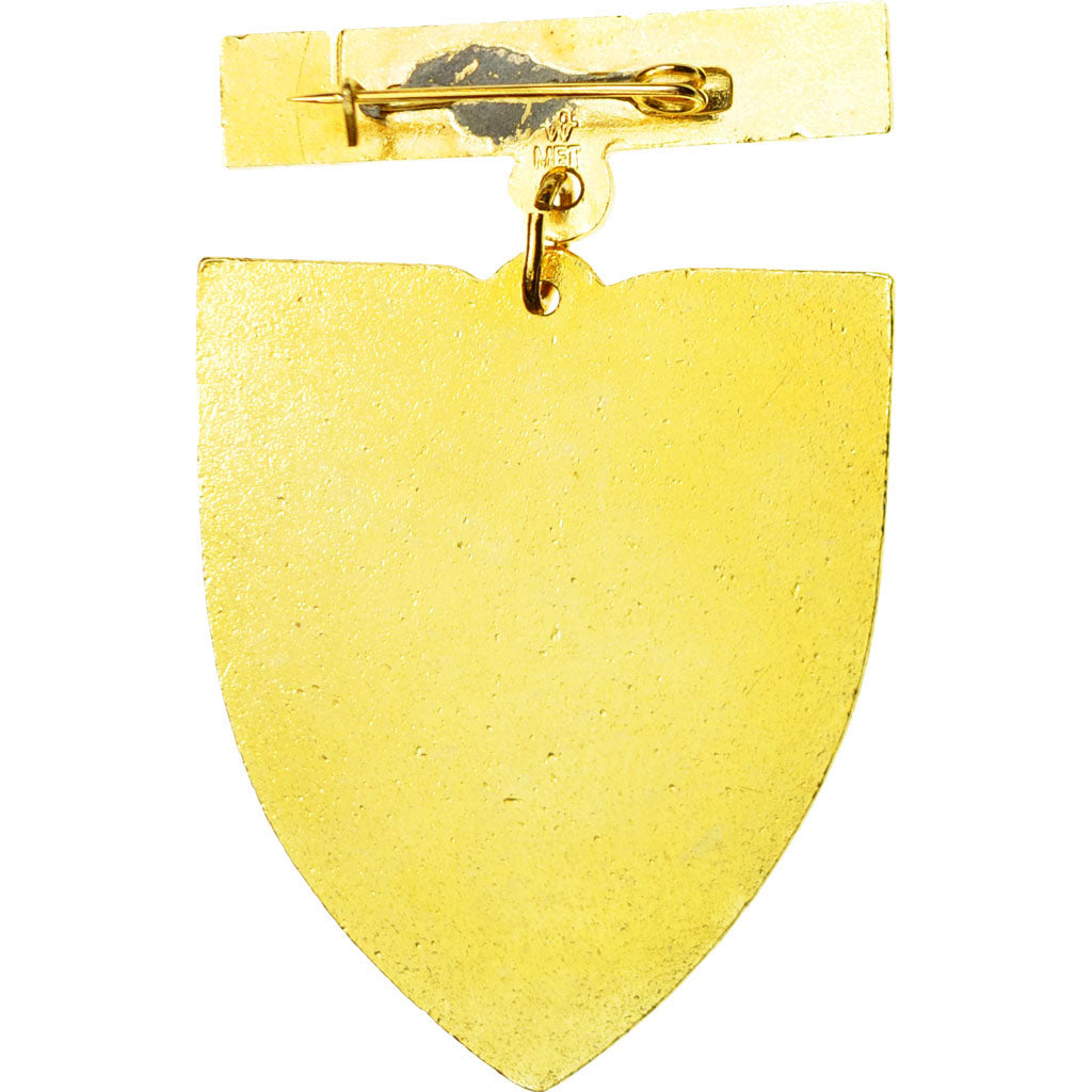 Polen, Pomorza, Medaille, Niet gecirculeerd, Gilt Bronze, 45