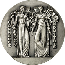 France, Medal, Chambre de Commerce de Lille, 1966, Coin, MS(64), Silver