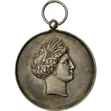 France, Medal, Comice Agricole de Château-Thierry (Aisne), 1869, Dubois