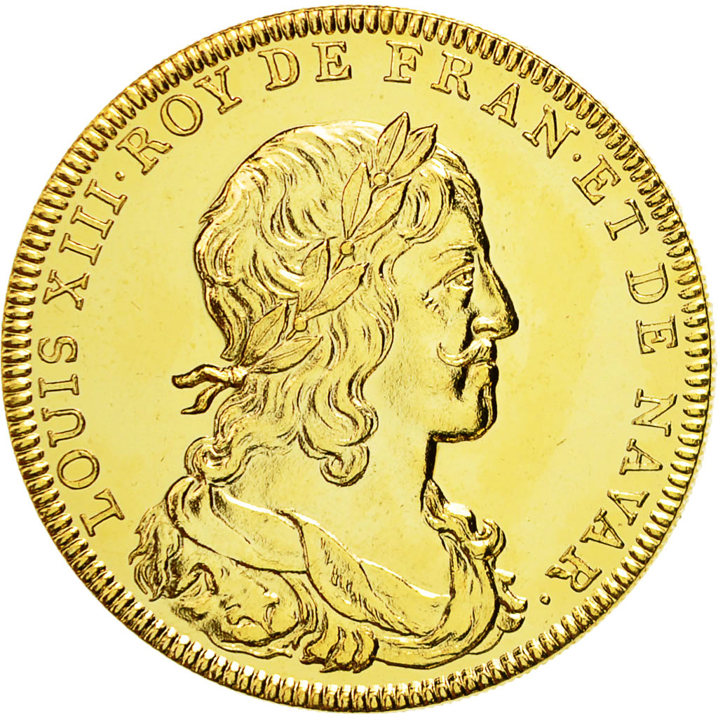 France, Médaille, Les rois de France, Louis XIII, FDC, Copper-Nickel Gilt