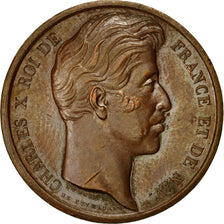 France, Token, Charles X à Beauvais, 1827, Dubois.A, AU(50-53), Copper