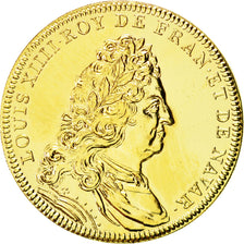 France, Médaille, Les rois de France, Louis XIV, SPL+, Copper-Nickel Gilt