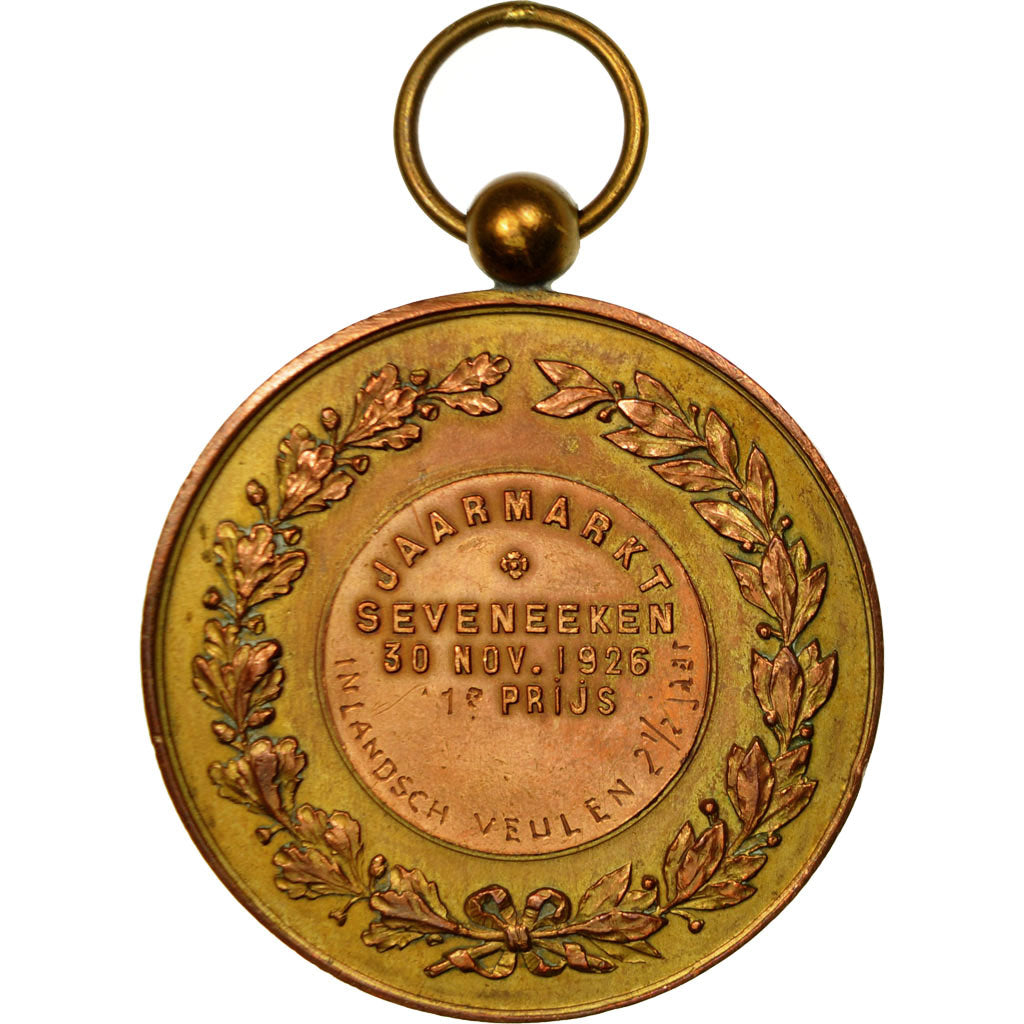 Belgium, Medal, Albert, Roi des Belges, Seveneeken, 1926, AU(50-53), Copper