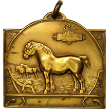 Belgio, medaglia, Paardententdonstelling Sint Lievens Wouthen, 1926, fisch
