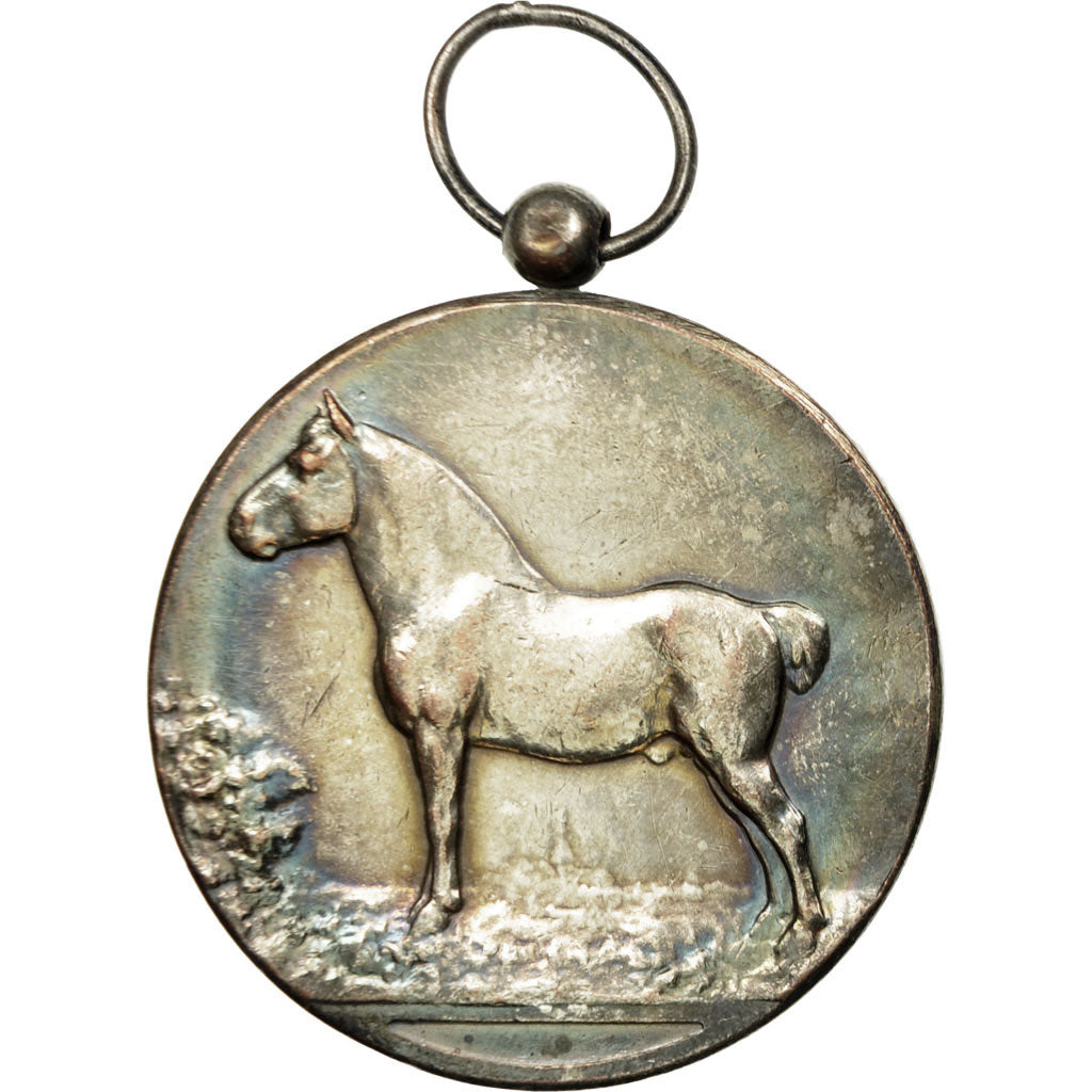 Belgique, Médaille, Paardenprijskamp, Gemeente Loochristi, 1924, SUP+, Silvered