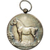 Belgique, Médaille, Paardenprijskamp, Gemeente Loochristi, 1924, SUP+, Silvered
