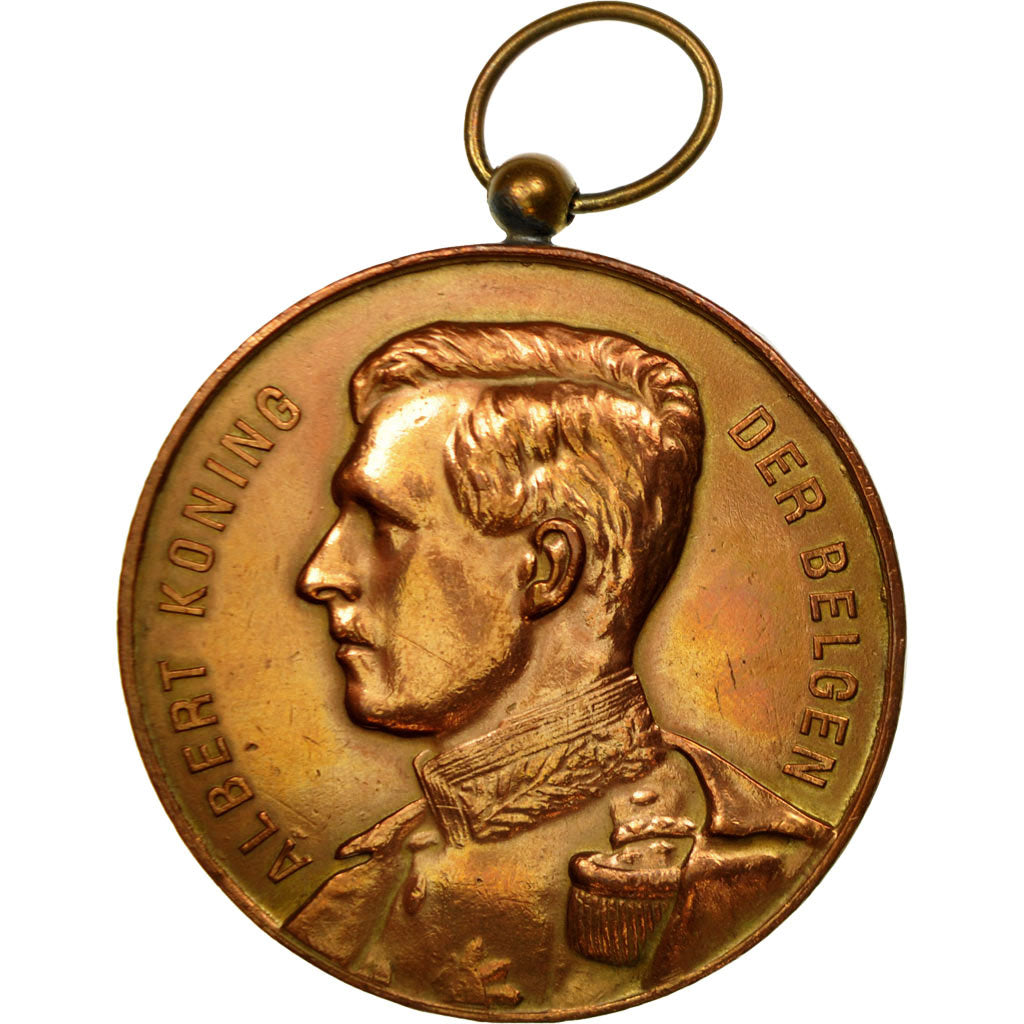 Belgique, Médaille, Albert, Roi des Belges, Landbouwfrijskamp, Loo-Christi