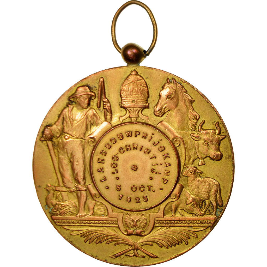 België, Medaille, Albert, Roi des Belges, Landbouwfrijskamp, Loo-Christi, 1925