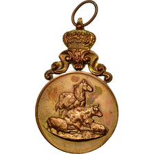 Belgium, Medal, Jaarmarkt, Lokeren, AU(50-53), Copper
