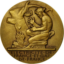 France, Médaille, Électricité de France et gaz de France, Dropsy, SPL, Bronze
