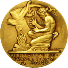 France, Médaille, Électricité de France et gaz de France, Dropsy, SPL, Gilt