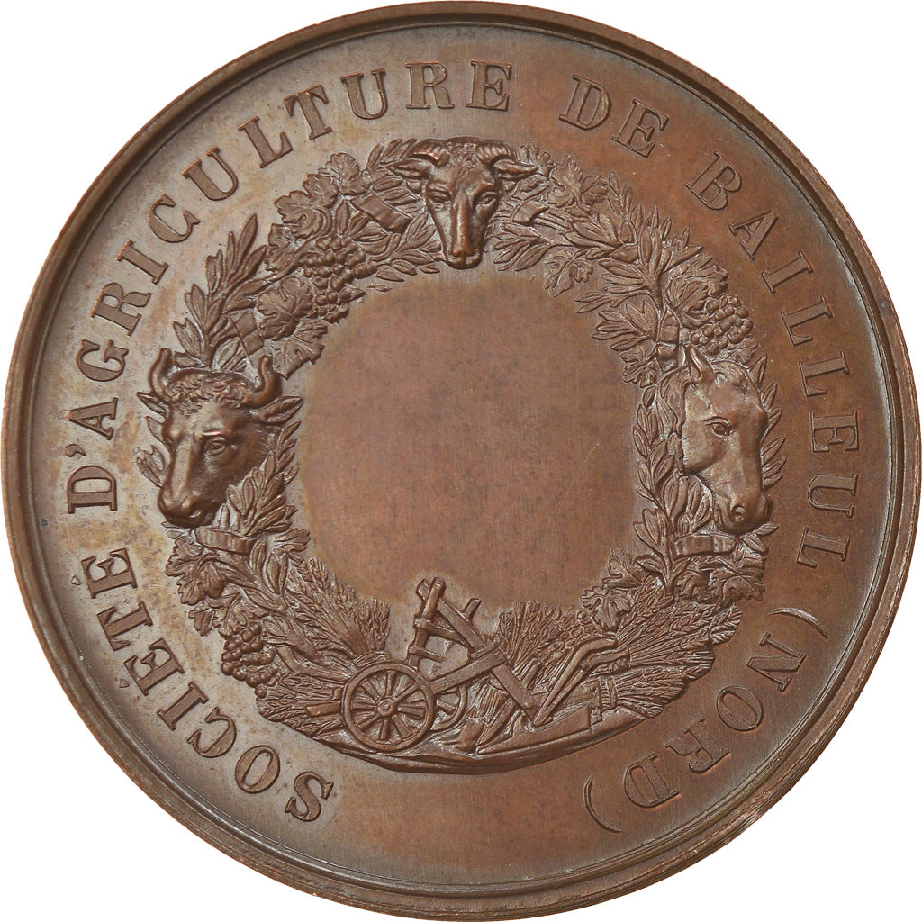 France, Medal, Société d'Agriculture de Bailleul, Nord, MS(63), Copper
