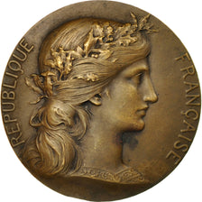 France, Medal, Voile, Régates de Dinard, Dupuis.D, AU(55-58), Bronze