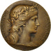France, Medal, Voile, Régates de Dinard, Dupuis.D, AU(55-58), Bronze