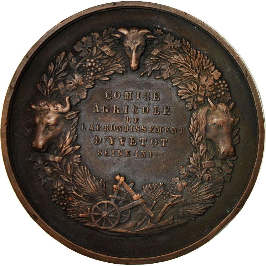 Francia, medaglia, Comice Agricole d'Yvetot, Seine Inférieure, SPL-, Rame