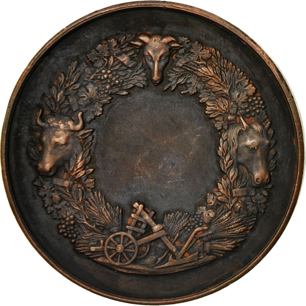 Francia, medaglia, Comice Agricole d'Yvetot, Seine Inférieure, SPL-, Rame