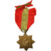 Francja, Médaille de la Famille Française, Medal, Doskonała jakość, Bronze