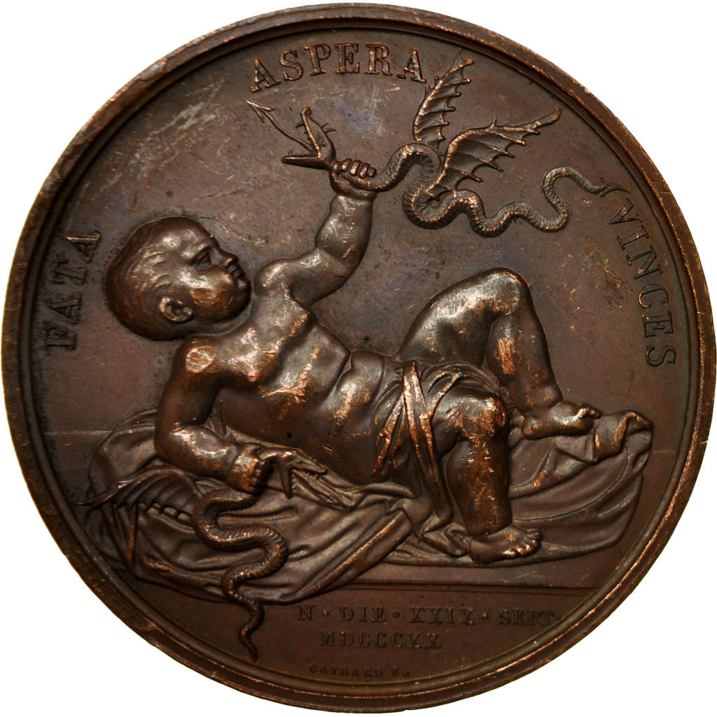 France, Medal, Duc et Duchesse de Berry, Naissance du Duc de Bordeaux, 1820