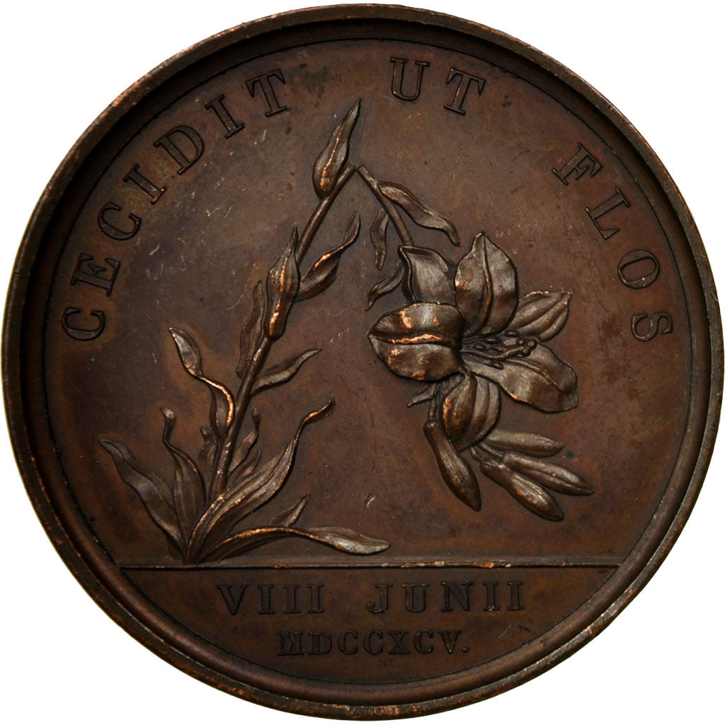 Francia, medalla, Restauration, Décès de Louis XVII, 1795, Andrieu, MBC+