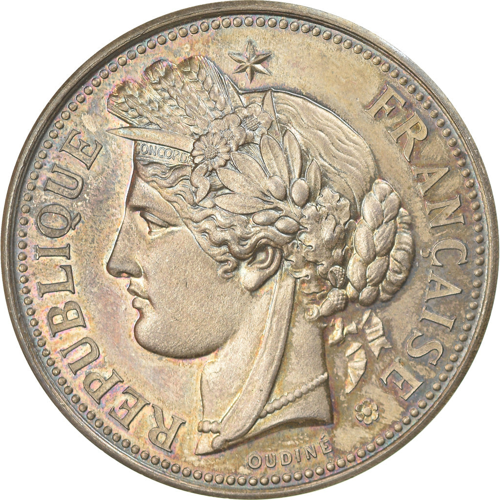 France, Medal, Foire des Rameaux, Concours d'Animaux de Boucherie, Bergues