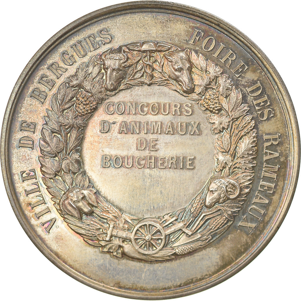 France, Medal, Foire des Rameaux, Concours d'Animaux de Boucherie, Bergues