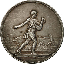 France, Medal, Concours Agricoles, 1877, Lagrange, AU(50-53), Silver