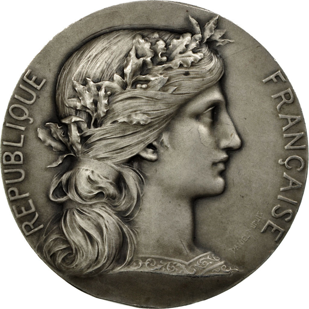 France, Medal, Hôpital Saint-Louis, Département de la Seine, 1949, Dupuis.D