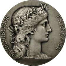 France, Medal, Hôpital Saint-Louis, Département de la Seine, 1949, Dupuis.D