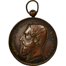 Belgium, Medal, Leopold II, Saint-Roch, Ham sur Heure, Geerts, VF(30-35), Bronze