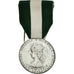 France, Médaille d'honneur communale, régionale et départementale, Medal