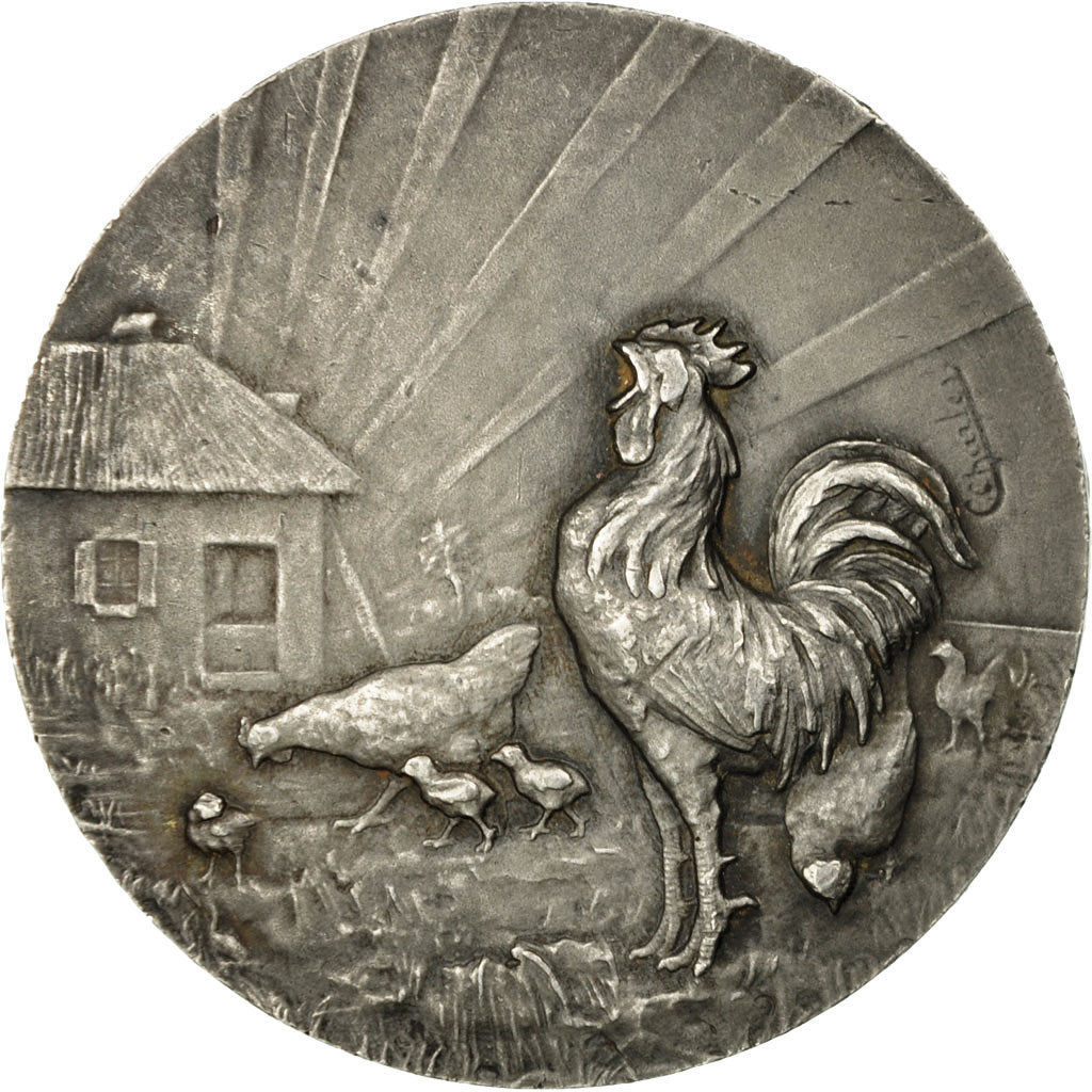 France, Medal, Concours Avicole, Moselle, Charles, AU(55-58), Silver