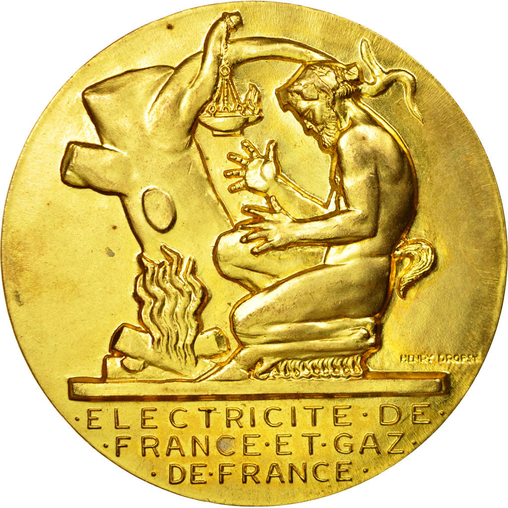 Frankrijk, Medaille, Électricité de France et gaz de France, Dropsy, PR+, Gilt