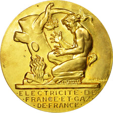 Frankrijk, Medaille, Électricité de France et gaz de France, Dropsy, PR+, Gilt