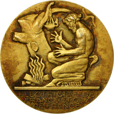 Frankrijk, Medaille, Électricité de France et gaz de France, Dropsy, PR