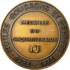 France, Medal, Industrie, Huiles Goudrons et dérivés, 1973, MS(63), Bronze
