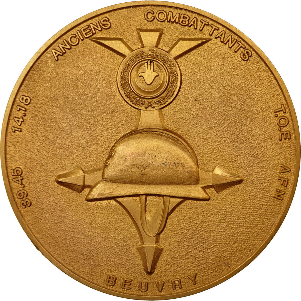 Francia, medaglia, Anciens Combattants, Beuvry, 1993, SPL, Bronzo dorato