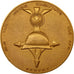 Francia, medaglia, Anciens Combattants, Beuvry, 1993, SPL, Bronzo dorato