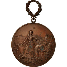 France, Medal, Vendanges, Reims, EF(40-45), Copper