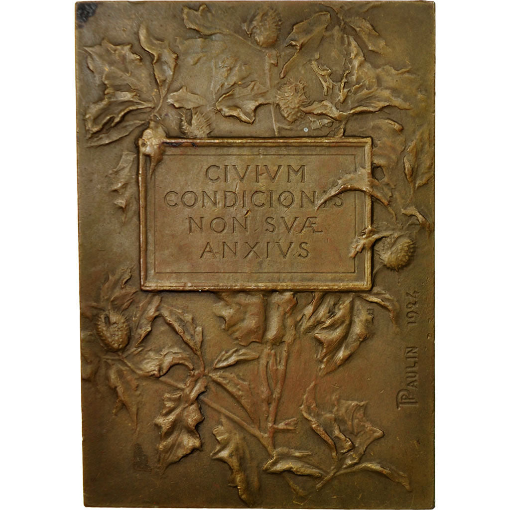 Frankreich, Medaille, Médecine, Sénateur Paul Strauss, 1924, Paulin, VZ
