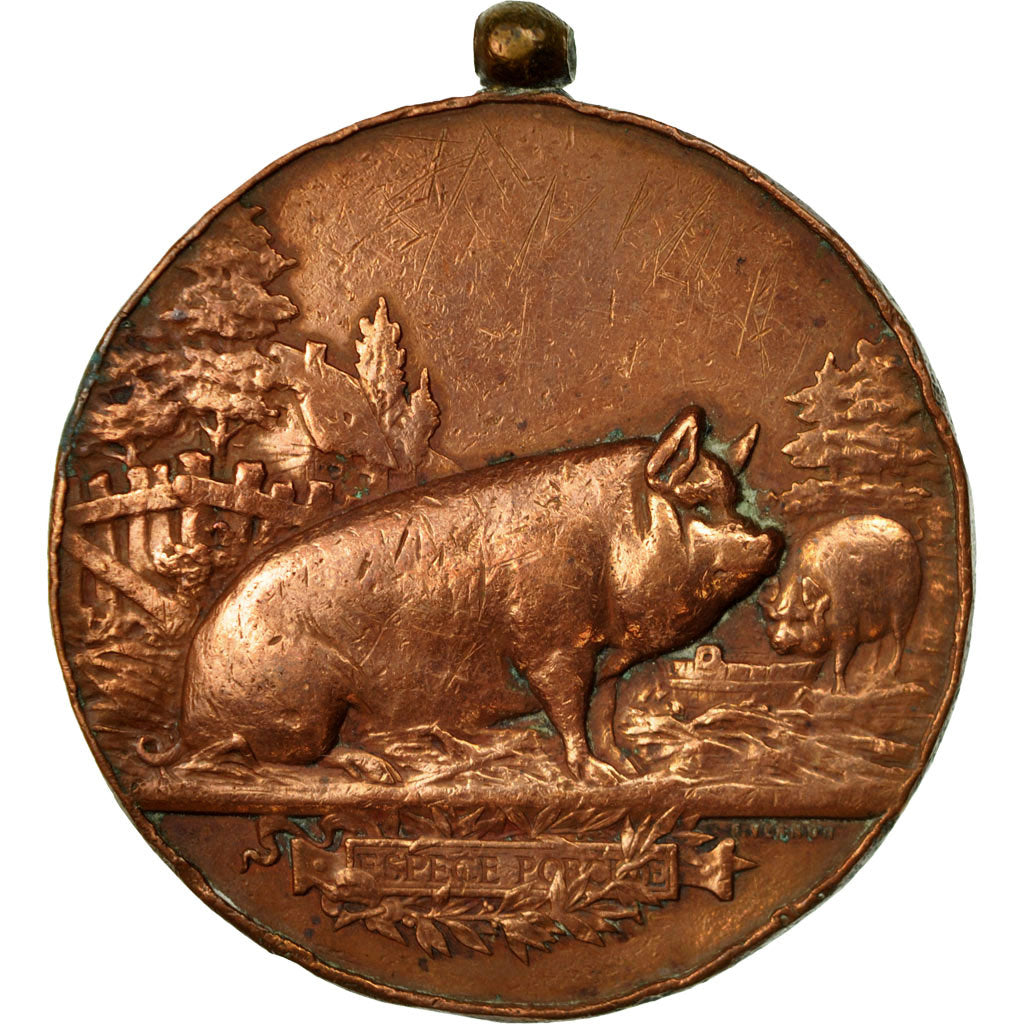 Francja, Medal, Concours Agricole, Espèce Porcine, Vernon, VF(20-25), Miedź